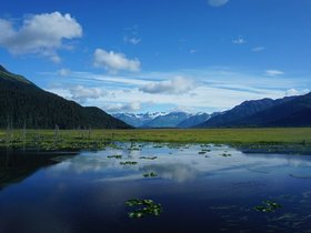 DSC03990