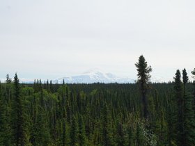 DSC04072